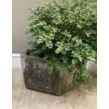 A hexagonal concrete garden planter, 50cm wide