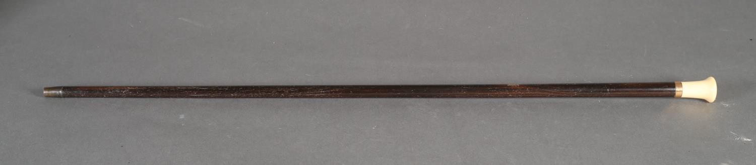 A rosewood tapered walking stick with gold pated collar and ivory pommel, brass ferrule, 92cm high
