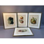 A set of four chromolithographs of fruit, probably book plates, overall size with frame 45.5cm x