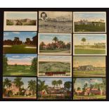 Collection of American Golf Course, Golf Club postcards in the Florida State region from the 1930s