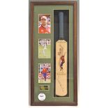 Steve Harmison Durham and England Cricket signed display featuring a signed miniature cricket bat