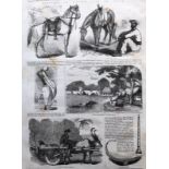 India And Punjab – Sketches of Native Life in India and Sikh Horse, 1858 An original ILN wood