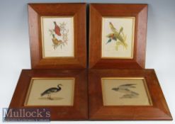 4x Wildlife Framed Plates featuring Haematospiza Sipahi, Nectarinia Gouldle, Hen Harrier and Spur-