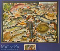 Interesting Colour Scrap of Sea, Game and Coarse Fish – species incl swordfish, turbot, lobster,