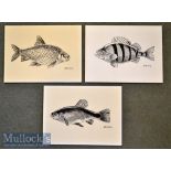 3x Coarse Fish Sketches – original ink sketches each signed by the artist Keith Linsell to incl