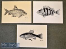 3x Coarse Fish Sketches – original ink sketches each signed by the artist Keith Linsell to incl