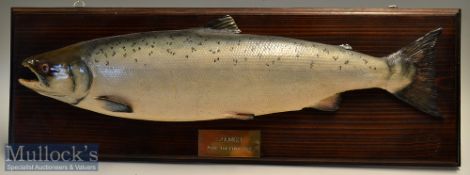 Cast of a Salmon – mounted on dark stained wooden plaque with engraved brass plaque which reads “