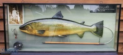 Large Plaster Cast Salmon Display – mounted in flat fronted case, 26lbs salmon caught near Fingle