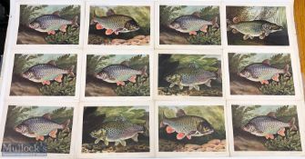 Various Bernard Venables Fishing Prints depicts The Roach, The Chub, The Trout, The Pike, plus a