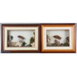 2 Eric Sayers of Preston Framed Salmon Flies both in 3d frames with scenic decorations, frames