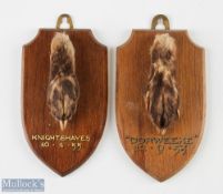 2 Otter Pad Taxidermies c1950s both mounted on shields, one Dorweeke 12.9.53 and the other