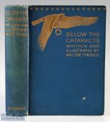 Egypt - Below The Cataracts Written and illustrated by Walter Tyndale 1907 - a 271 page book with 60