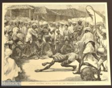 India – Human Tigers at the Mohurrum Festival original engraving 1872 measures 31x24cm approx.