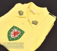 Dai Davies (1948-2021) 1976/77 Wales International Goalkeepers football shirt worn in the match 06/
