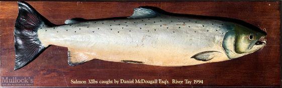 Cast Salmon Mounted on Wooden Board – fish size 32lbs caught by Daniel McDougall, River Tay 1994,