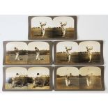 Collection of 5x Early Famous US Champion Golfers Stereo View Real Photograph Cards – players incl