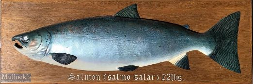 Cast Salmon Mounted on Wooden Board – fish size 22lbs, board size 107cm x 35cm