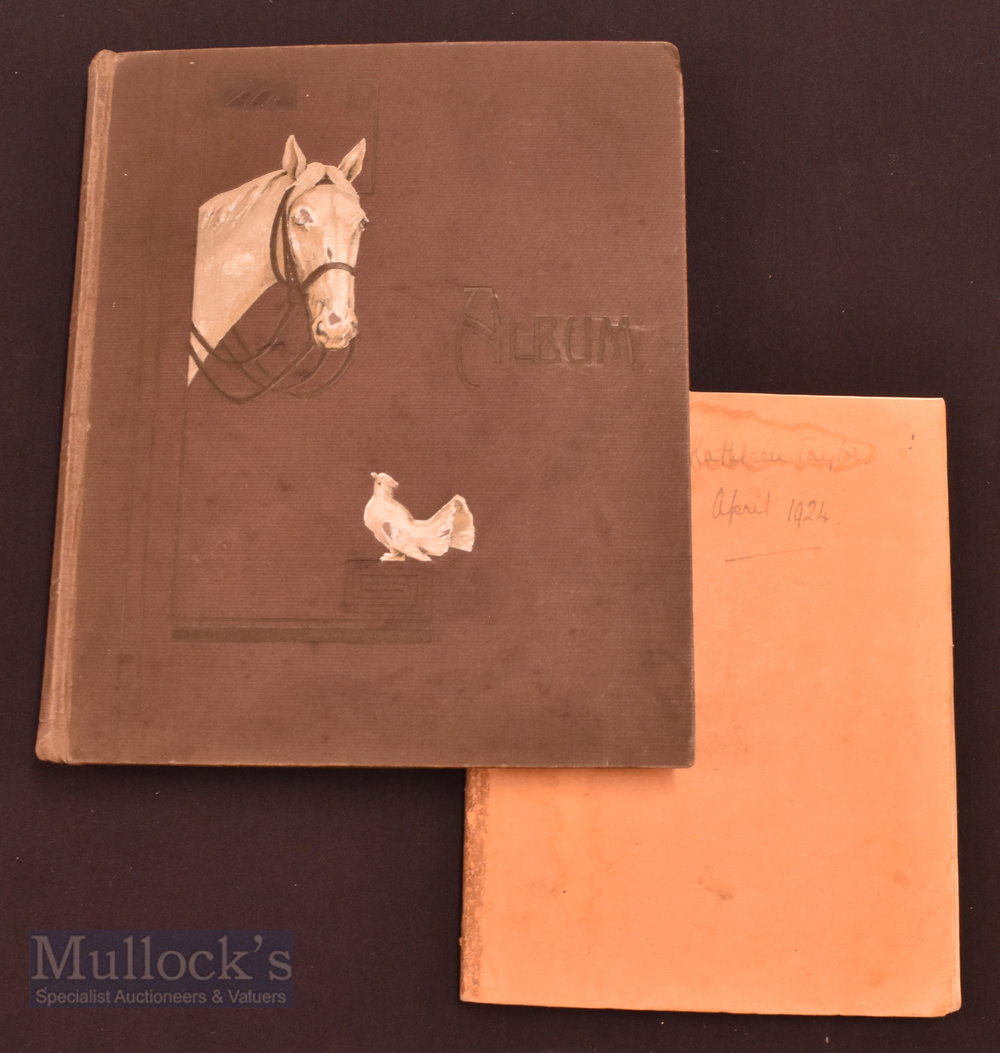 Assorted collection of Horse and Donkey Postcards in a horse embossed postcard album, a good mixture