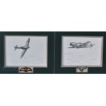 WWII Battle of Britain Pilots Signed Print Limited Edition 29/30 signed by 10 British pilots and