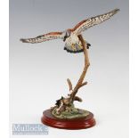 Border Fine Arts Birds by Russell Willis Frying Kestrel model A1275, on wooden base, unboxed with no