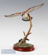 Border Fine Arts Birds by Russell Willis Frying Kestrel model A1275, on wooden base, unboxed with no