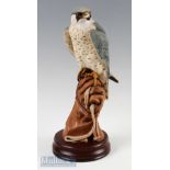 Large Sherratt & Simpson Peregrine Falcon Limited Edition Figure bird sitting on falconers' glove