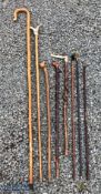 Selection of Walking Sticks, Shepherd Crook, to include 3 x gun cleaning rods wood with brass