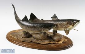 Pair of Sea Trout Spelter/Metallic depicts a pair spawning, appears to wooden base, no apparent