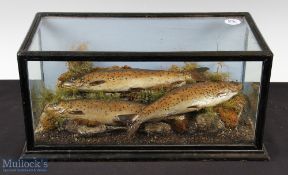 Interesting Catch of Preserved 3x Brown Trout lying on the riverbank - in a deep four panel early