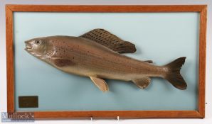 1983 Plaster Cast of Grayling Caught on River Tay Murthly mounted on board with pale blue
