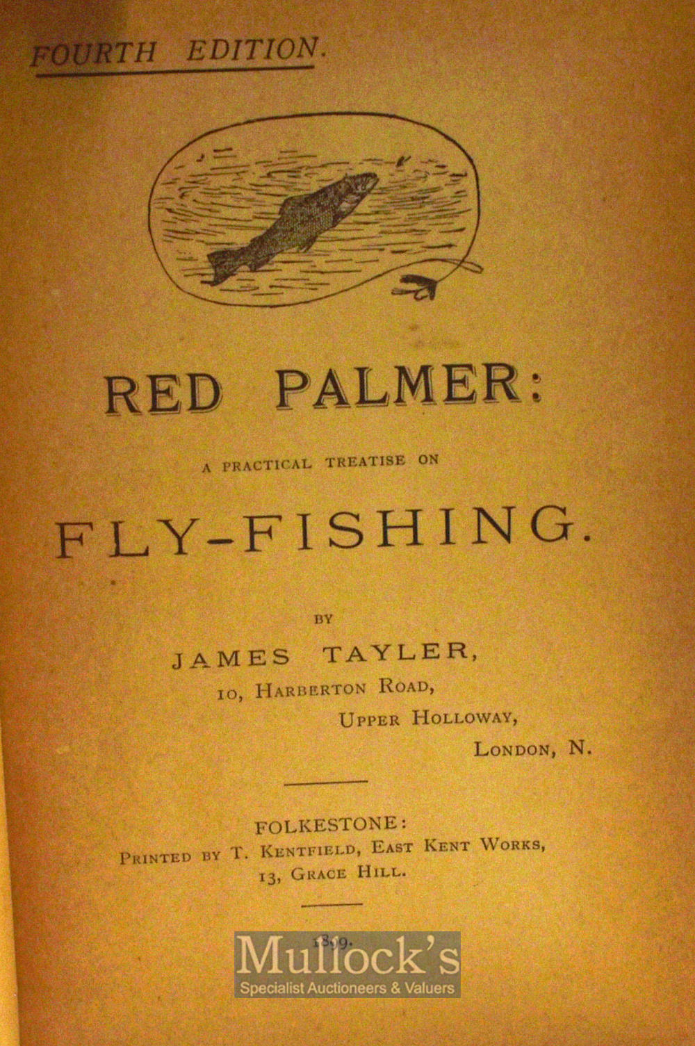 Hills, J W 'A History of Fly Fishing for Trout' London 1921 1st ed original cloth binding - Image 2 of 2
