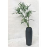 INDOOR PALM in large black shaped pot, pot height 104cm, with watering pipe