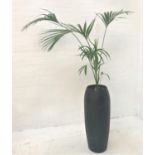 INDOOR PALM in large black shaped pot, pot height 104cm, with watering pipe