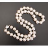 PEARL NECKLACE with individually knotted pearls and diamond set eighteen carat white gold clasp,