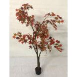 ARTIFICIAL JAPANESE ACER approximately 164cm high