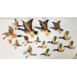 LARGE SELECTION OF DUCK WALL PLAQUES including a graduated set of three by Jema Holland; a further