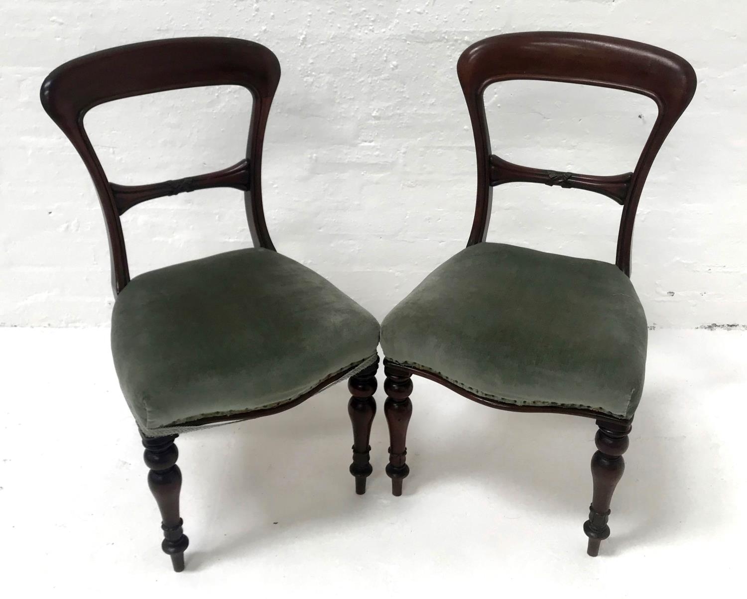 PAIR OF VICTORIAN MAHOGANY BALLON BACK DINING CHAIRS with stuffover shaped seats, standing on turned