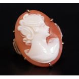 SHELL CAMEO DRESS RING the cameo depicting a female bust in profile, on nine carat gold shank,