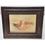 JAMES STINTON Grouse In The Highlands, watercolour, signed, 11.7cm x 17cm Note; James Stinton was