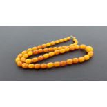 GRADUATED AMBER BEAD NECKLACE the butterscotch amber necklace with gold clasp, 49cm long and