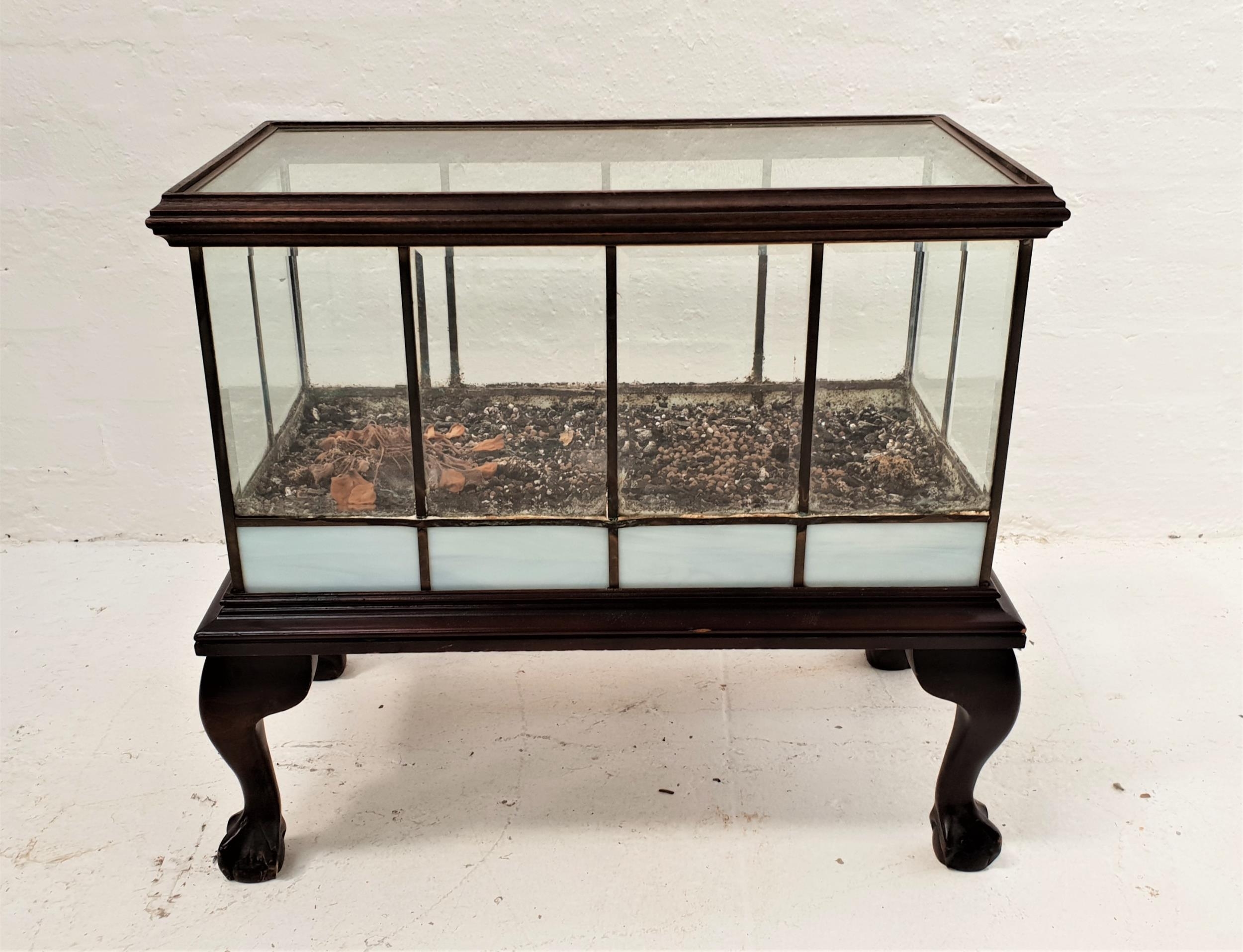 MAHOGANY AND GLASS TERRARIUM of oblong form with a lift off glass lid above a metal frame with glass