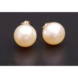 PAIR OF PEARL STUD EARRINGS in fourteen carat gold