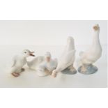 FOUR NAO FIGURINES of two geese, 15cm and 11cm high and two duck figurines, 8cm and 6cm high (4)