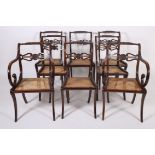 A FINE SET OF REGENCY DESIGN ROSEWOOD DINING CHAIRS Circa 1900 including a pair of elbow chairs each