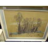 L Gilbert, Dead elms, Coloured chalks, Signed, label verso, 18 x 25 ins.