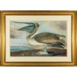 After John James Audubon (American, 1785-1851) , "Brown Pelican", digital image transfer on paper,