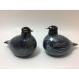 A pair of Oiva Toikka for Iittala studio glass birds, 'Northern Duck', both with etched signatures