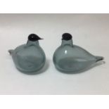 A pair of Oiva Toikka for Iittala studio glass birds, both clear grey with black heads, both with