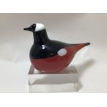 Oiva Toikka for Iittala studio glass bird, 'Mountain Redstart', etched signature to base, 18cm long