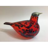 Oiva Toikka for Iittala studio glass bird, the ruby glass body dispersed with coloured spots, the
